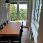 Rent 3 bedroom apartment of 60 m² in SZCZECIN