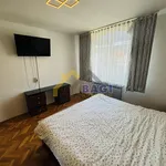 Rent 7 bedroom apartment of 250 m² in City of Zagreb