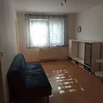 Rent 2 bedroom apartment of 45 m² in Milovice