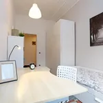 Rent 3 bedroom apartment in Rome