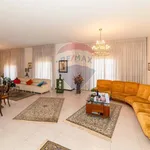 Rent 5 bedroom apartment of 224 m² in Catania