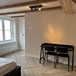 Huur 2 slaapkamer appartement van 840 m² in Haarlem