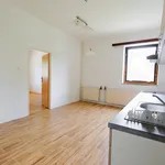 Rent 1 bedroom apartment in Hradec Králové