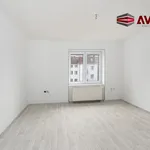 Rent 2 bedroom apartment of 56 m² in Opava