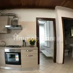 Rent 3 bedroom apartment of 70 m² in Bologna