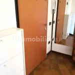 Rent 1 bedroom apartment of 35 m² in Pisa