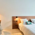 Rent a room in brussels