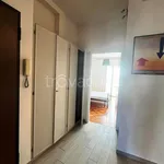 Rent 2 bedroom apartment of 60 m² in Torino