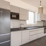 Rent 1 bedroom house of 111 m² in Capital City of Prague