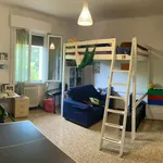 Rent 2 bedroom apartment of 80 m² in Bologna