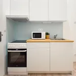 Rent 1 bedroom apartment in Brno