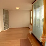 Rent 4 bedroom apartment of 122 m² in Prague