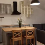 Rent 1 bedroom apartment of 50 m² in Padua