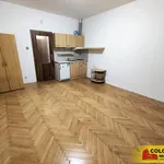 Rent 1 bedroom apartment in Brno venkov