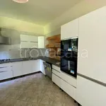 Rent 5 bedroom apartment of 180 m² in Moncalieri