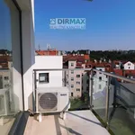 Rent 2 bedroom apartment of 55 m² in Plzeň