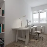 Rent 1 bedroom apartment in The Hague