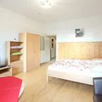 Miete 1 Schlafzimmer wohnung von 30 m² in Vienna