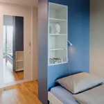 Rent 1 bedroom apartment in Bern