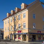 Rent 3 bedroom apartment of 59 m² in Graz