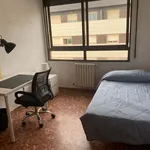 Rent a room of 200 m² in Castelló de la Plana