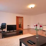 Rent 1 bedroom apartment in Prague