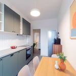 Rent a room in Turin