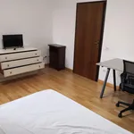 Rent 3 bedroom apartment in Padua