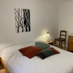 Rent 1 bedroom apartment of 60 m² in Frankfurt