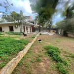 Rent 2 bedroom house of 90 m² in Rafina Municipal Unit