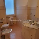 Rent 1 bedroom apartment of 47 m² in Cinisello Balsamo