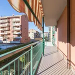 Rent 3 bedroom apartment of 55 m² in Turin