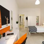 Rent a room in Bologna