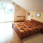 Pronajměte si 1 ložnic/e dům o rozloze 150 m² v Klimkovice