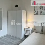 Rent 1 bedroom apartment in Kladno