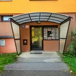 Rent 1 bedroom apartment of 32 m² in Praha 4 - Chodov