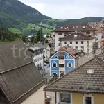 Rent 2 bedroom apartment of 63 m² in Ortisei