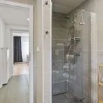 Rent 1 bedroom apartment of 50 m² in prague