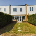 Rent 3 bedroom house in Chichester