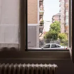 Rent 1 bedroom apartment in Milan