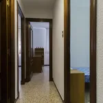 Alquilar 4 dormitorio apartamento en Salamanca