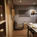 Rent 1 bedroom apartment in Madrid