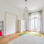  appartement avec 5 chambre(s) en location à Strasbourg