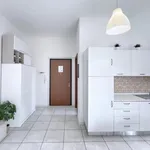 Rent 1 bedroom apartment in Bologna