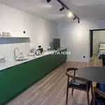 Rent 1 bedroom apartment of 43 m² in Lisbon