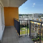 Rent 2 bedroom apartment of 59 m² in Prague