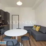 Rent 2 bedroom apartment of 55 m² in Milan