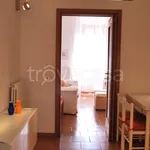 Rent 1 bedroom apartment of 40 m² in Milano