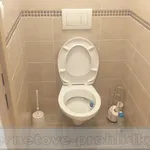 Rent 5 bedroom apartment in Prague