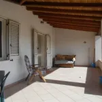 Rent 1 bedroom house of 60 m² in Castelvetrano